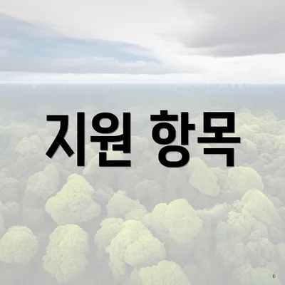 지원 항목
