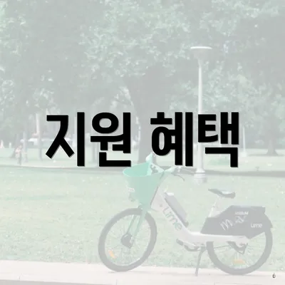 지원 혜택