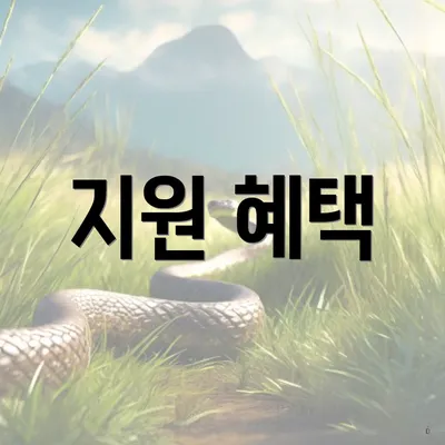 지원 혜택