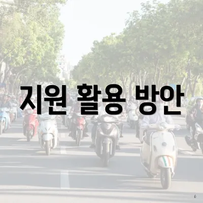 지원 활용 방안