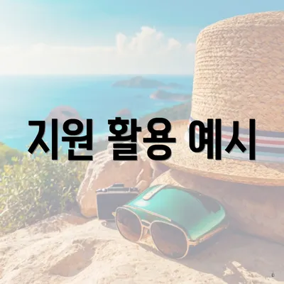 지원 활용 예시