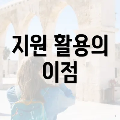 지원 활용의 이점