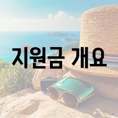 지원금 개요
