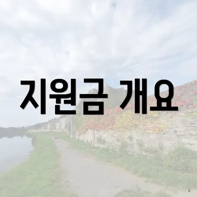 지원금 개요