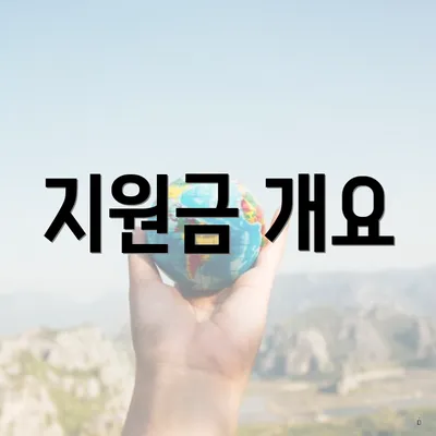 지원금 개요