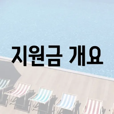 지원금 개요