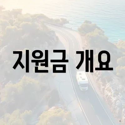 지원금 개요