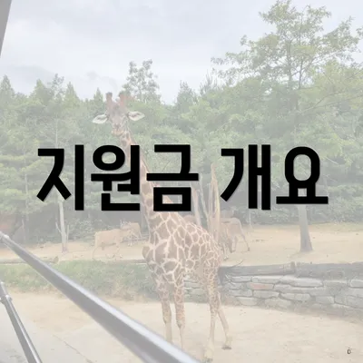 지원금 개요
