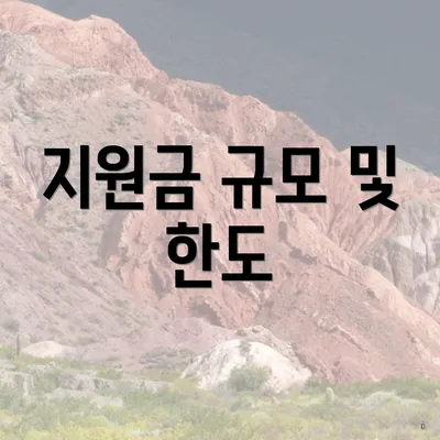 지원금 규모 및 한도