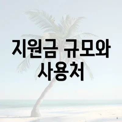 지원금 규모와 사용처