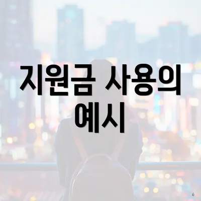 지원금 사용의 예시