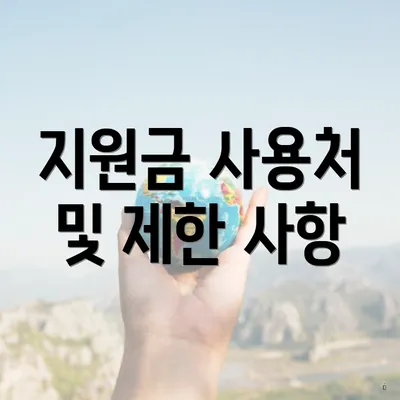 지원금 사용처 및 제한 사항