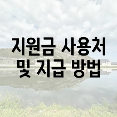 지원금 사용처 및 지급 방법