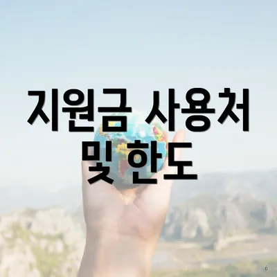 지원금 사용처 및 한도