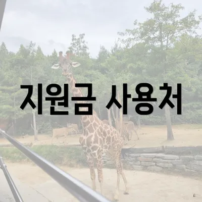 지원금 사용처