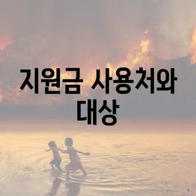 지원금 사용처와 대상