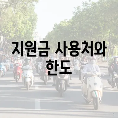지원금 사용처와 한도