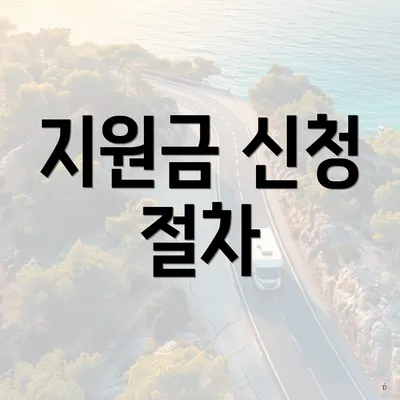 지원금 신청 절차