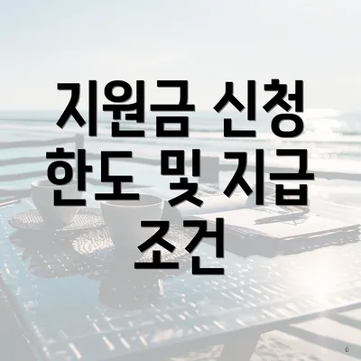 지원금 신청 한도 및 지급 조건