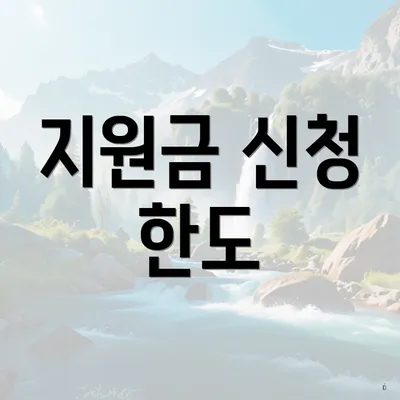 지원금 신청 한도
