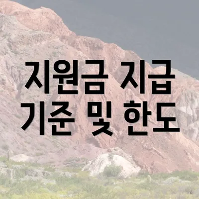 지원금 지급 기준 및 한도