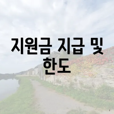 지원금 지급 및 한도