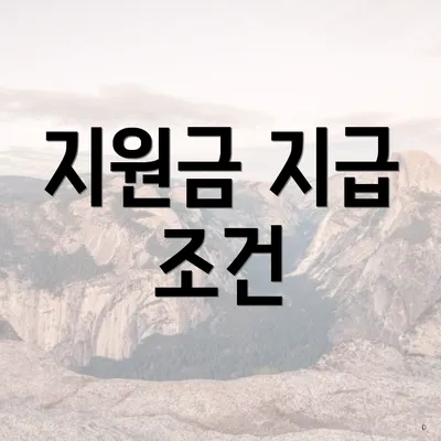 지원금 지급 조건