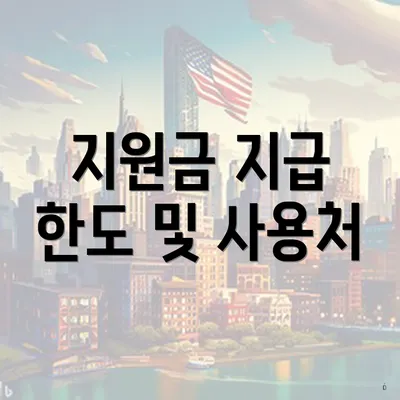 지원금 지급 한도 및 사용처