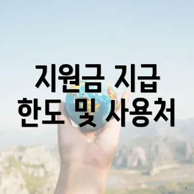 지원금 지급 한도 및 사용처