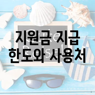 지원금 지급 한도와 사용처