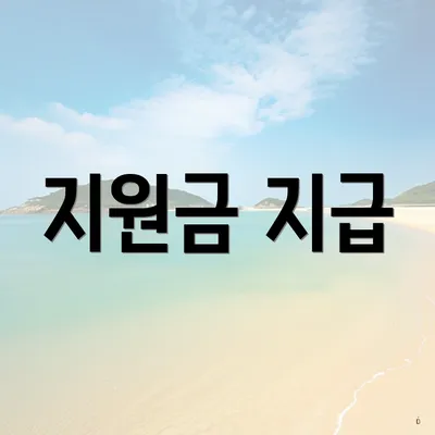 지원금 지급