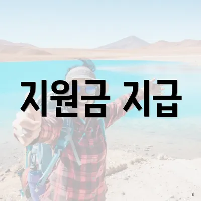 지원금 지급