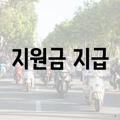 지원금 지급