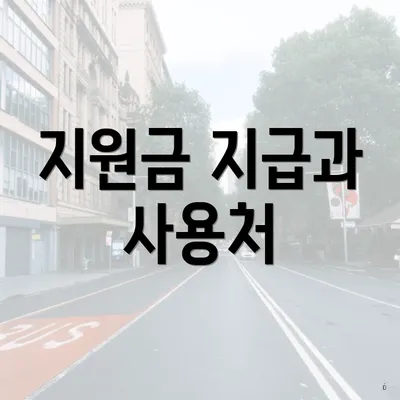 지원금 지급과 사용처