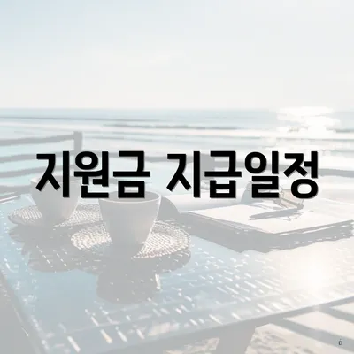 지원금 지급일정
