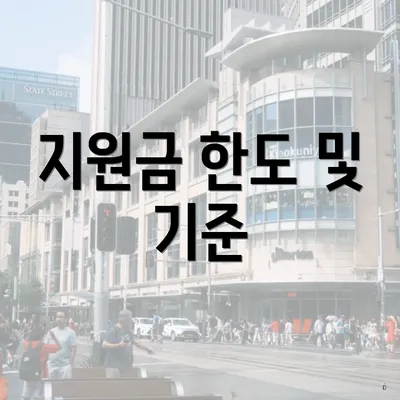 지원금 한도 및 기준