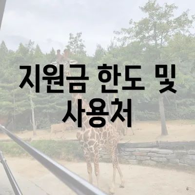 지원금 한도 및 사용처