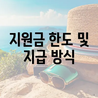 지원금 한도 및 지급 방식