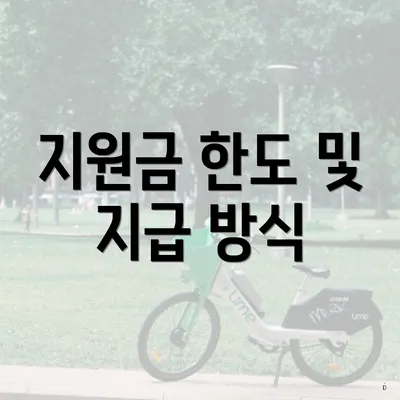 지원금 한도 및 지급 방식