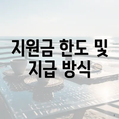 지원금 한도 및 지급 방식