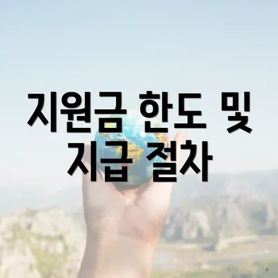 지원금 한도 및 지급 절차