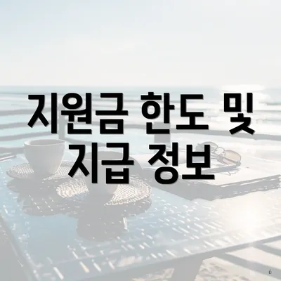 지원금 한도 및 지급 정보