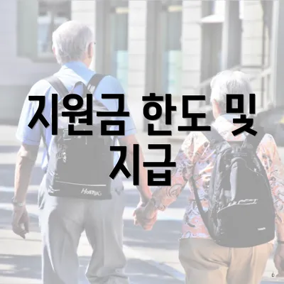지원금 한도 및 지급