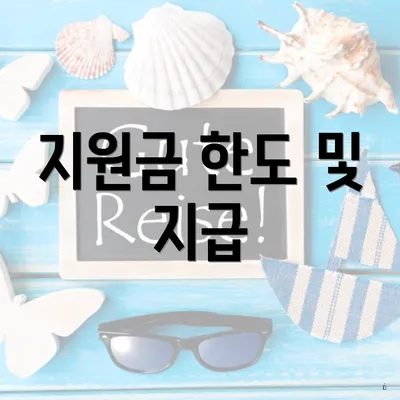 지원금 한도 및 지급
