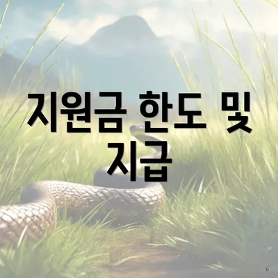 지원금 한도 및 지급