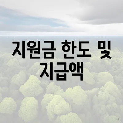 지원금 한도 및 지급액
