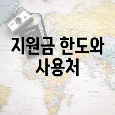지원금 한도와 사용처