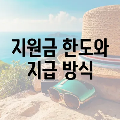 지원금 한도와 지급 방식