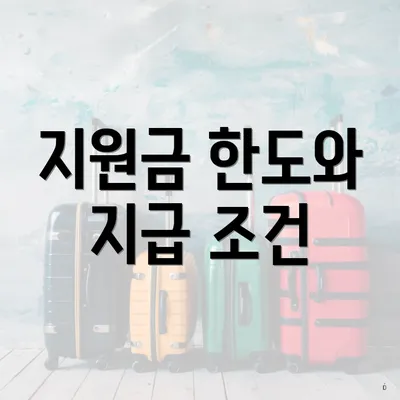 지원금 한도와 지급 조건