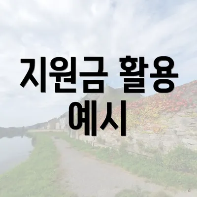 지원금 활용 예시